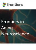 Quantitative analysis of gait and balance using deep learning on monocular videos and the timed up and go test in idiopathic normal-pressure hydrocephalus